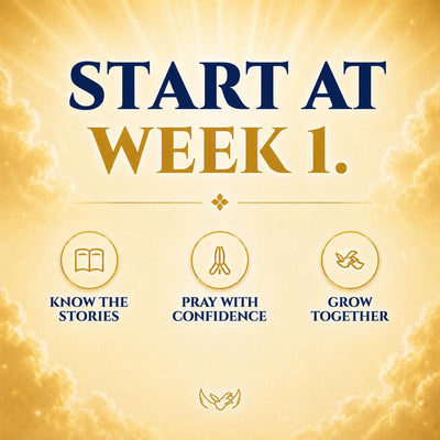 Bible Study Workbook